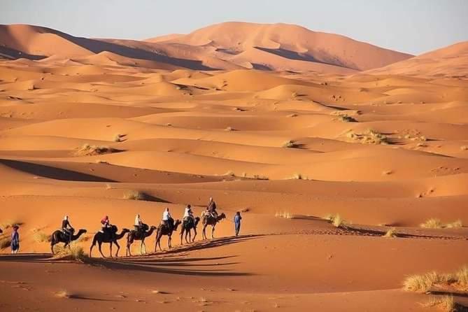 Merzouga Camel Trekking Camp Esterno foto